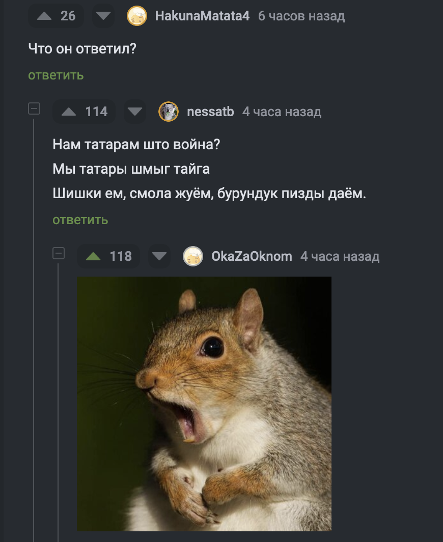 Бедная белка