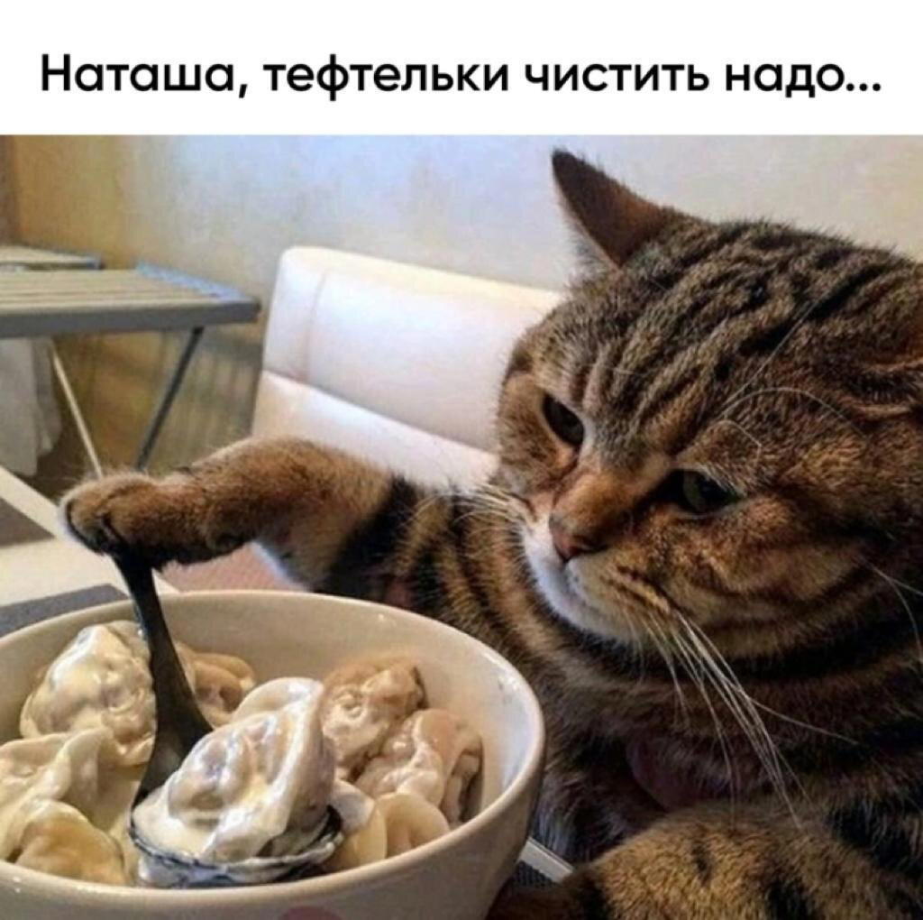 Безответственная хозяйка