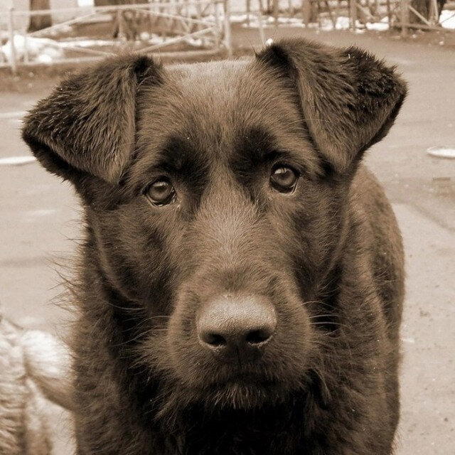 Гвоздь