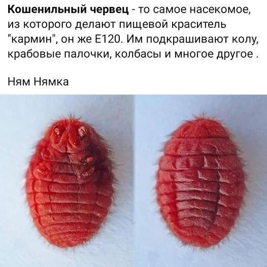 Из чего же, из чего же, из чего же