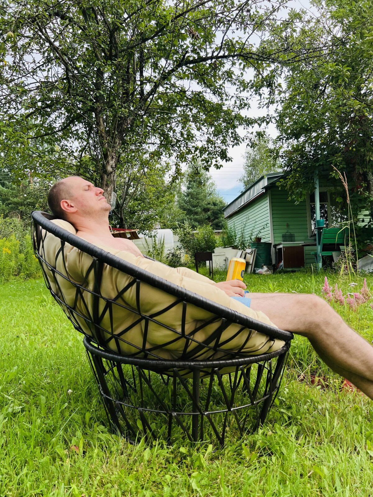 На даче сажать только печень!