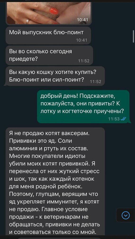 Когда хотел завести котёнка, а узнал про еврейский заговор...