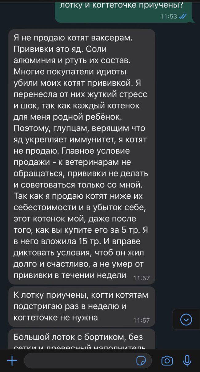 Когда хотел завести котёнка, а узнал про еврейский заговор...