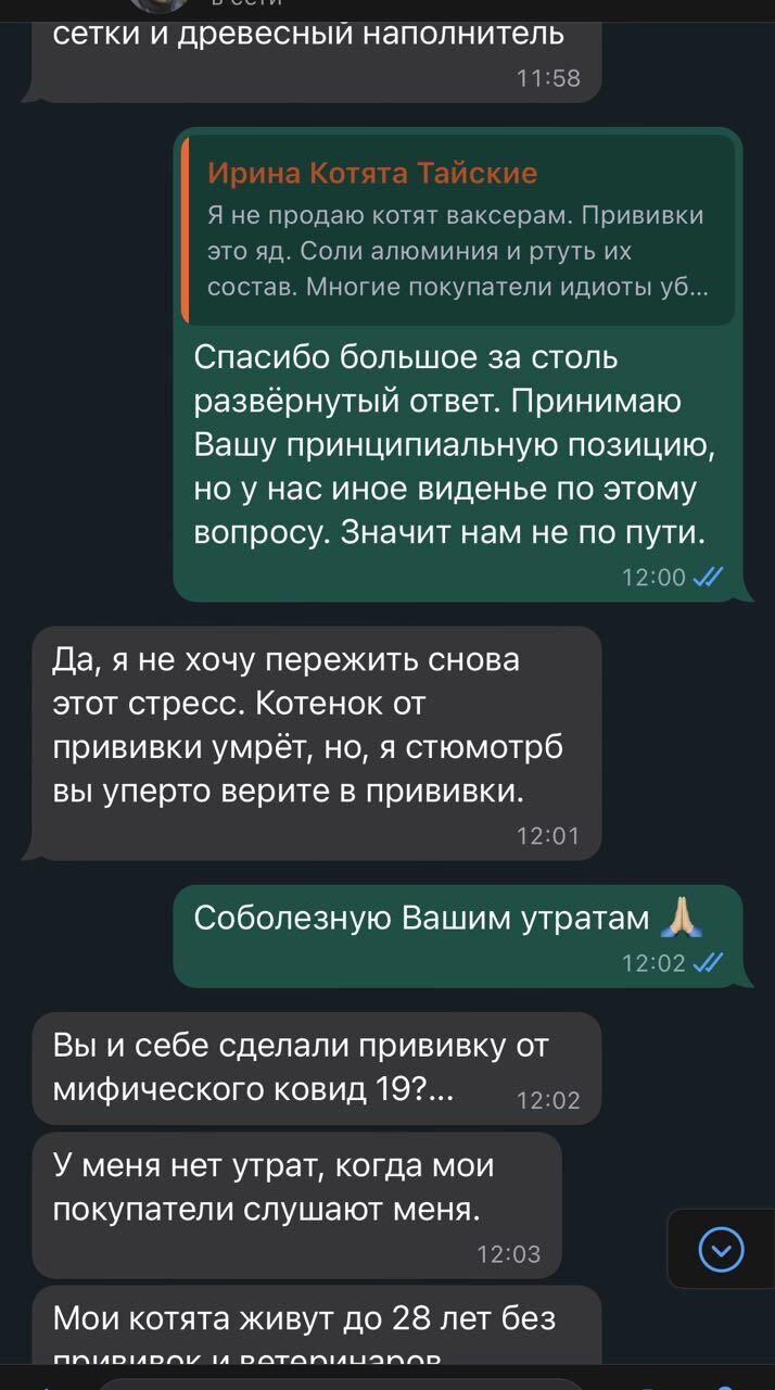 Когда хотел завести котёнка, а узнал про еврейский заговор...