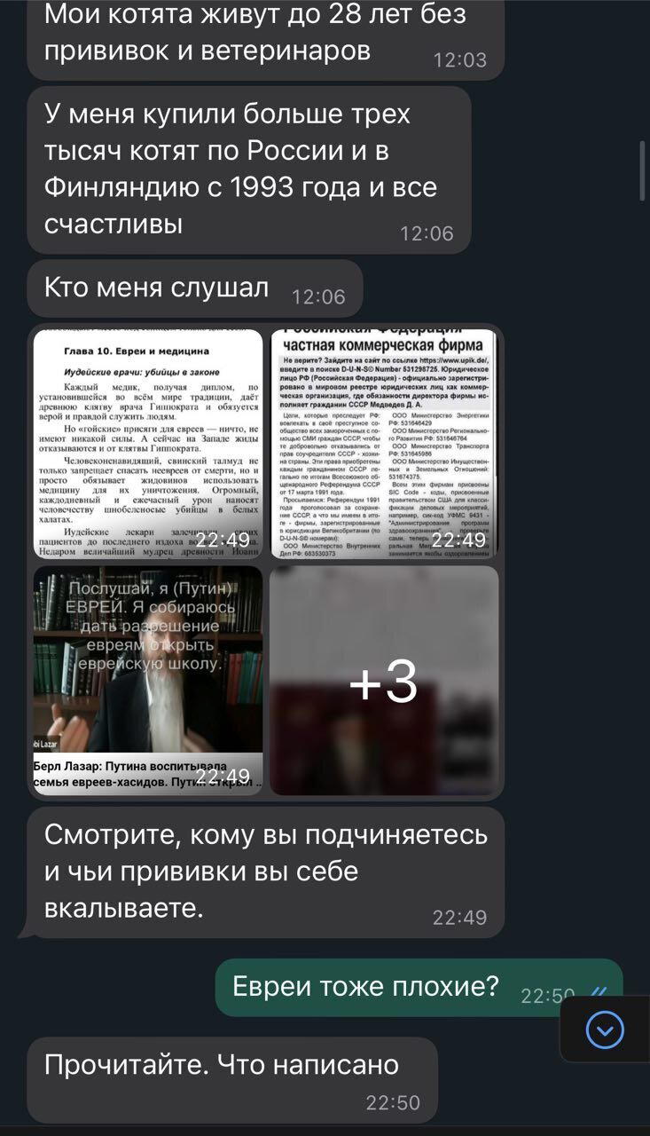 Когда хотел завести котёнка, а узнал про еврейский заговор...