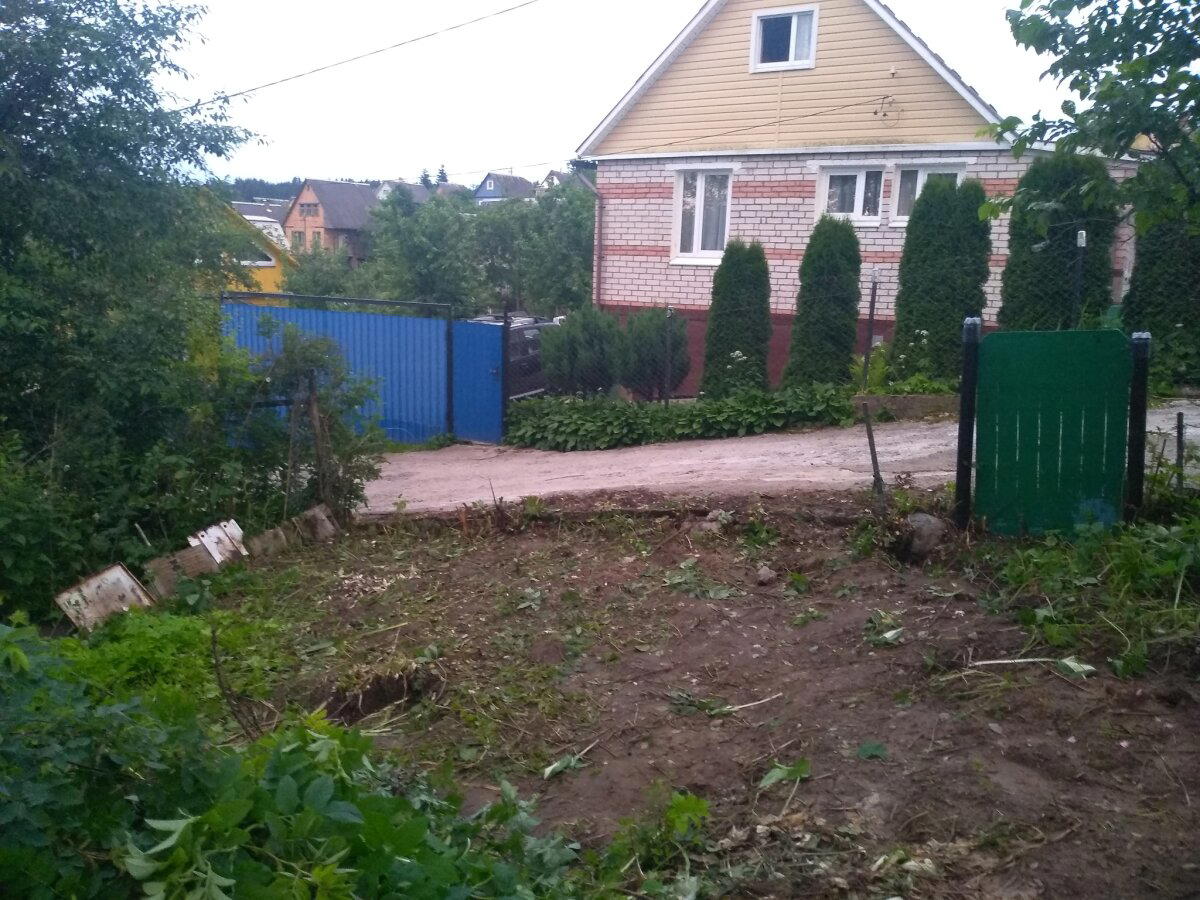 Моя борьба