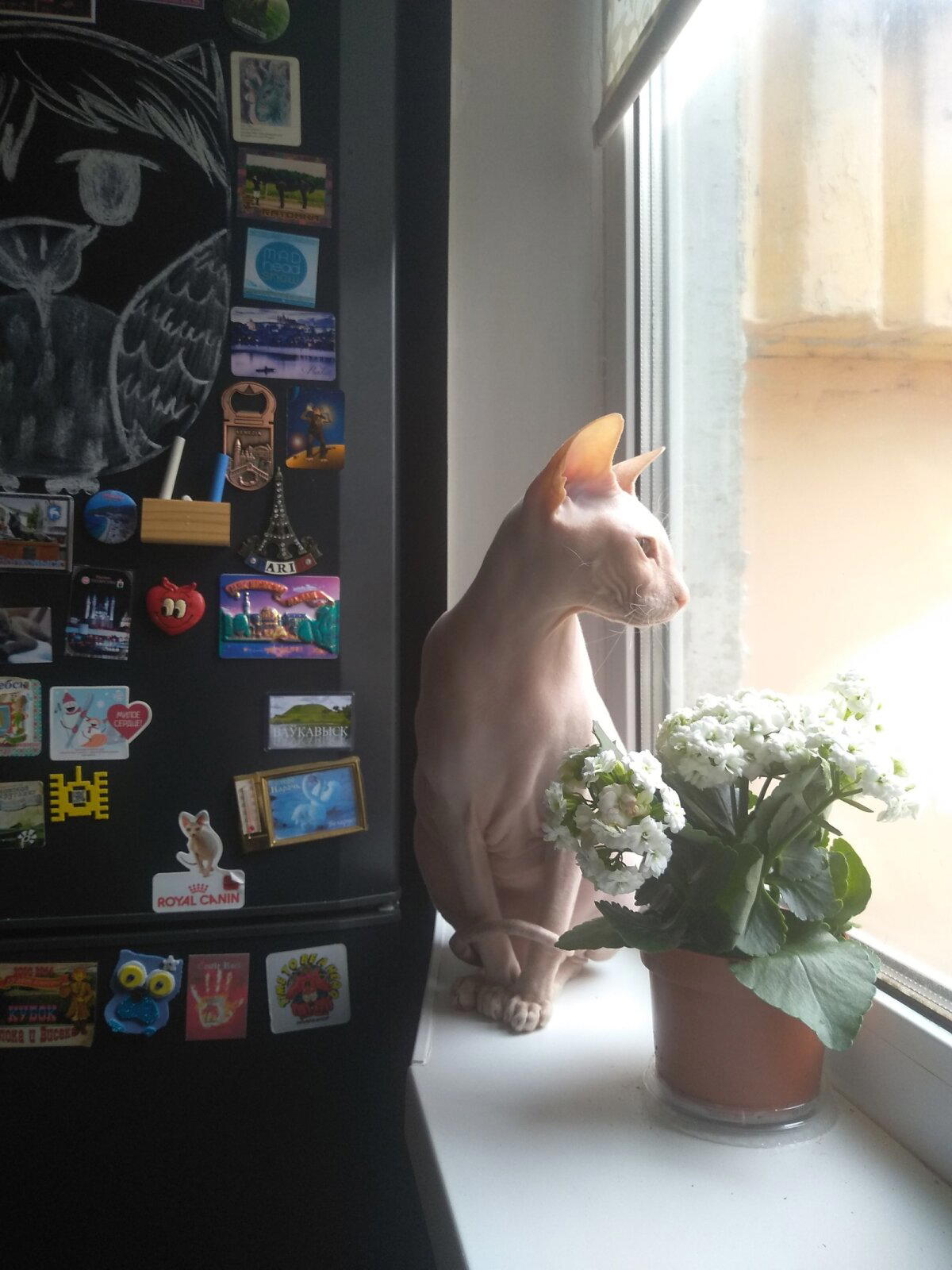 Весна пришла)