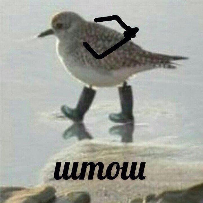 Чуть-чуть про похудение и омлет