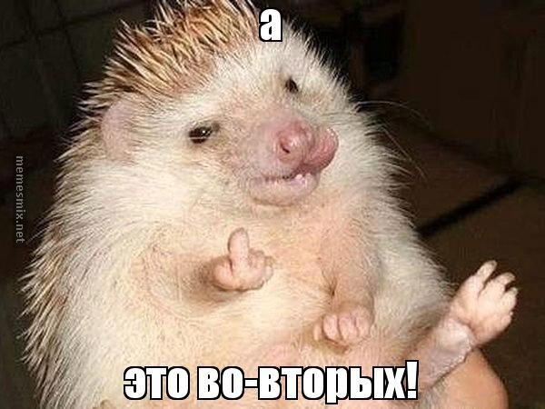 Социальный эксперимент 10
