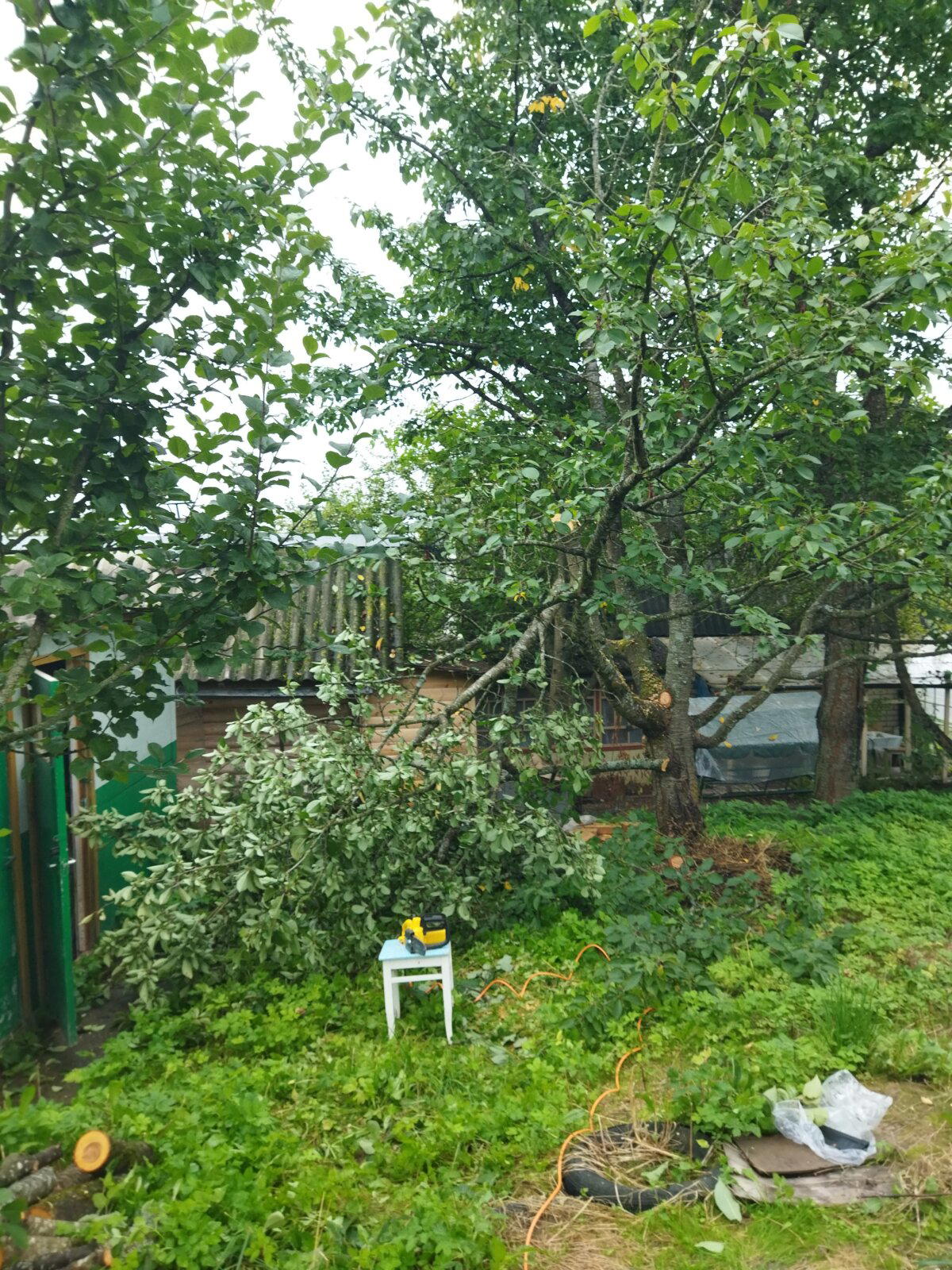 Домик мой