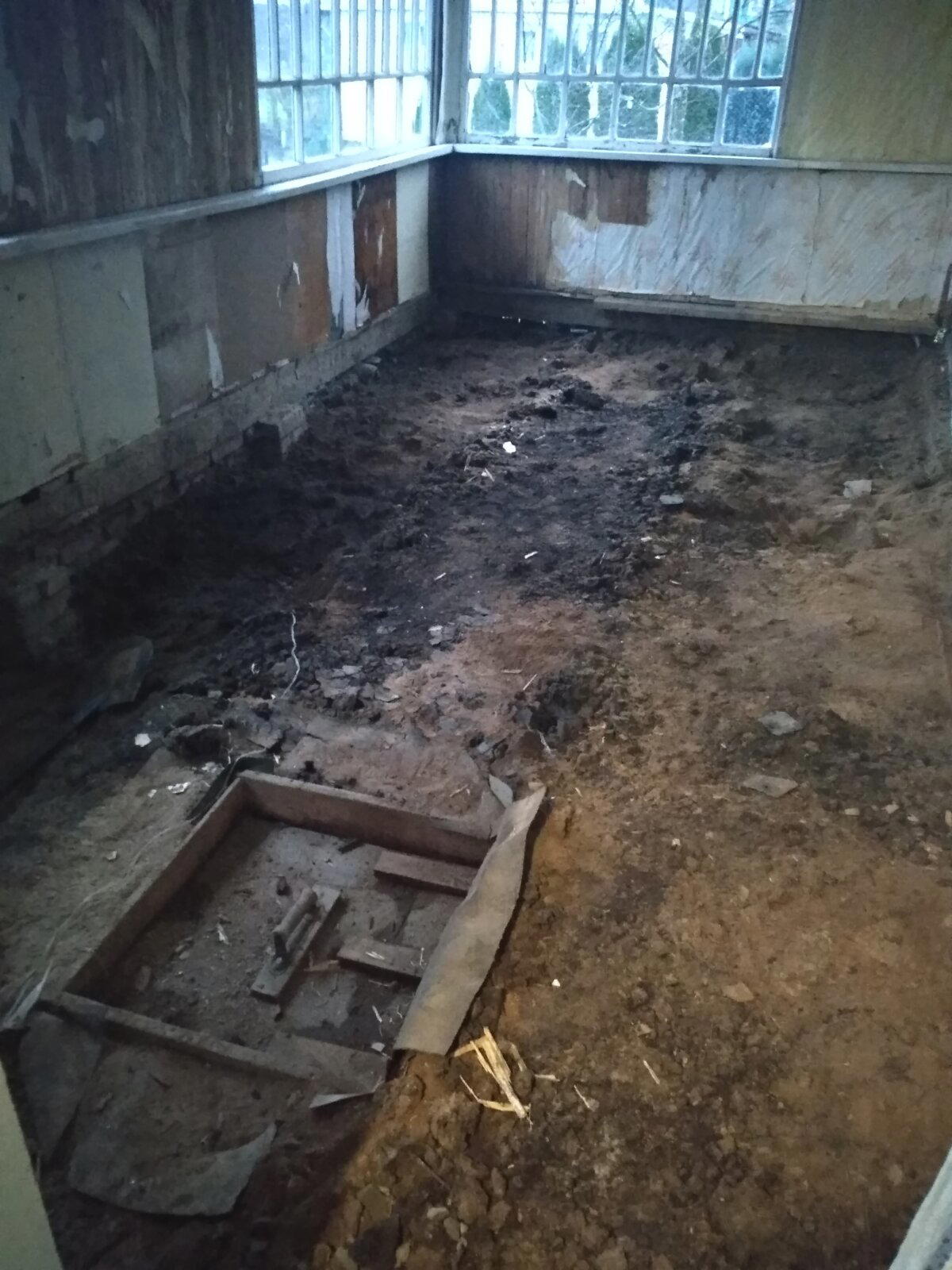 Вот и пришли морозы