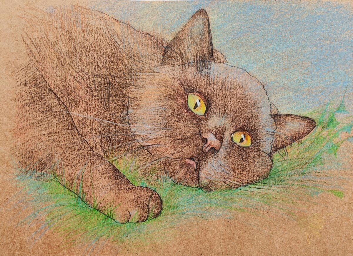 Котик