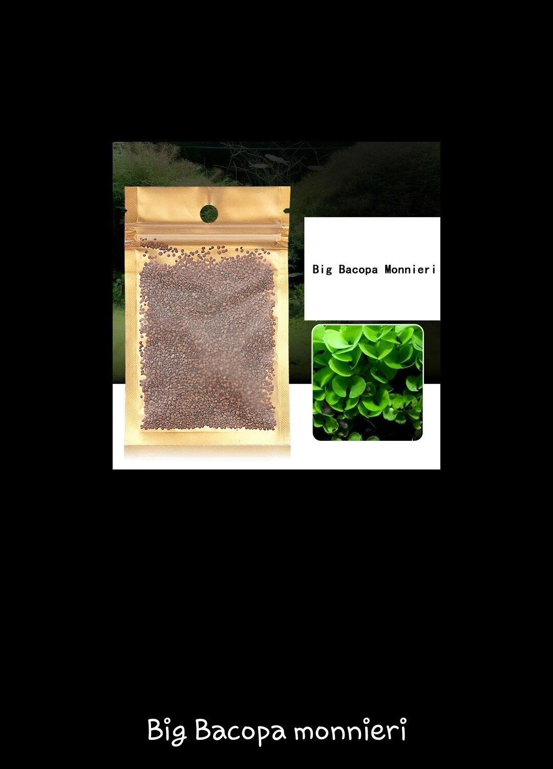 Водоросли с AliExpress
