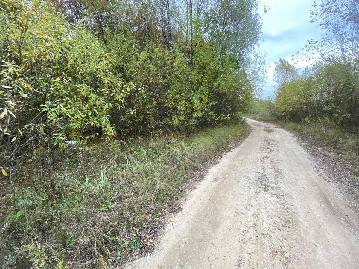 Прошелся с металлоискателем по обочине проселочной дороге