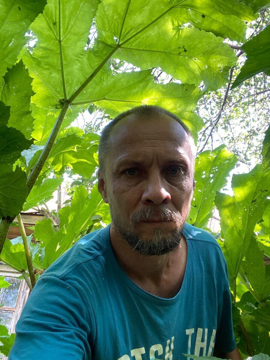 Побывал в заброшенном доме деревенского пасечника, который когда-то его просто закрыл, ушел и пропал