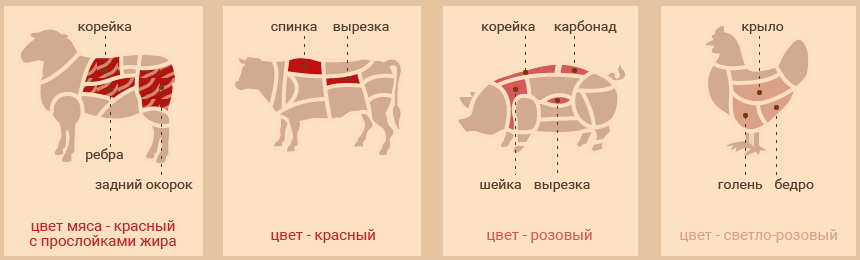 Шашлык. Физика и химия