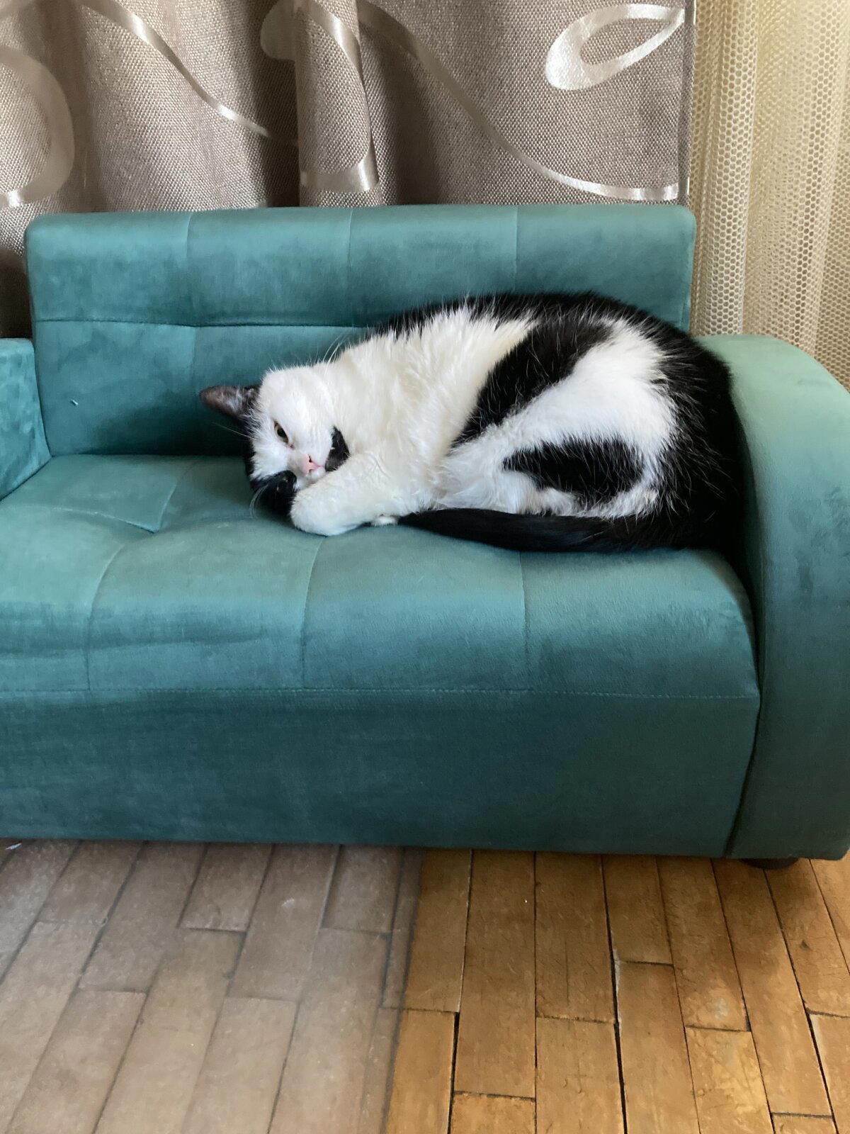 У котинек новая мебелишка