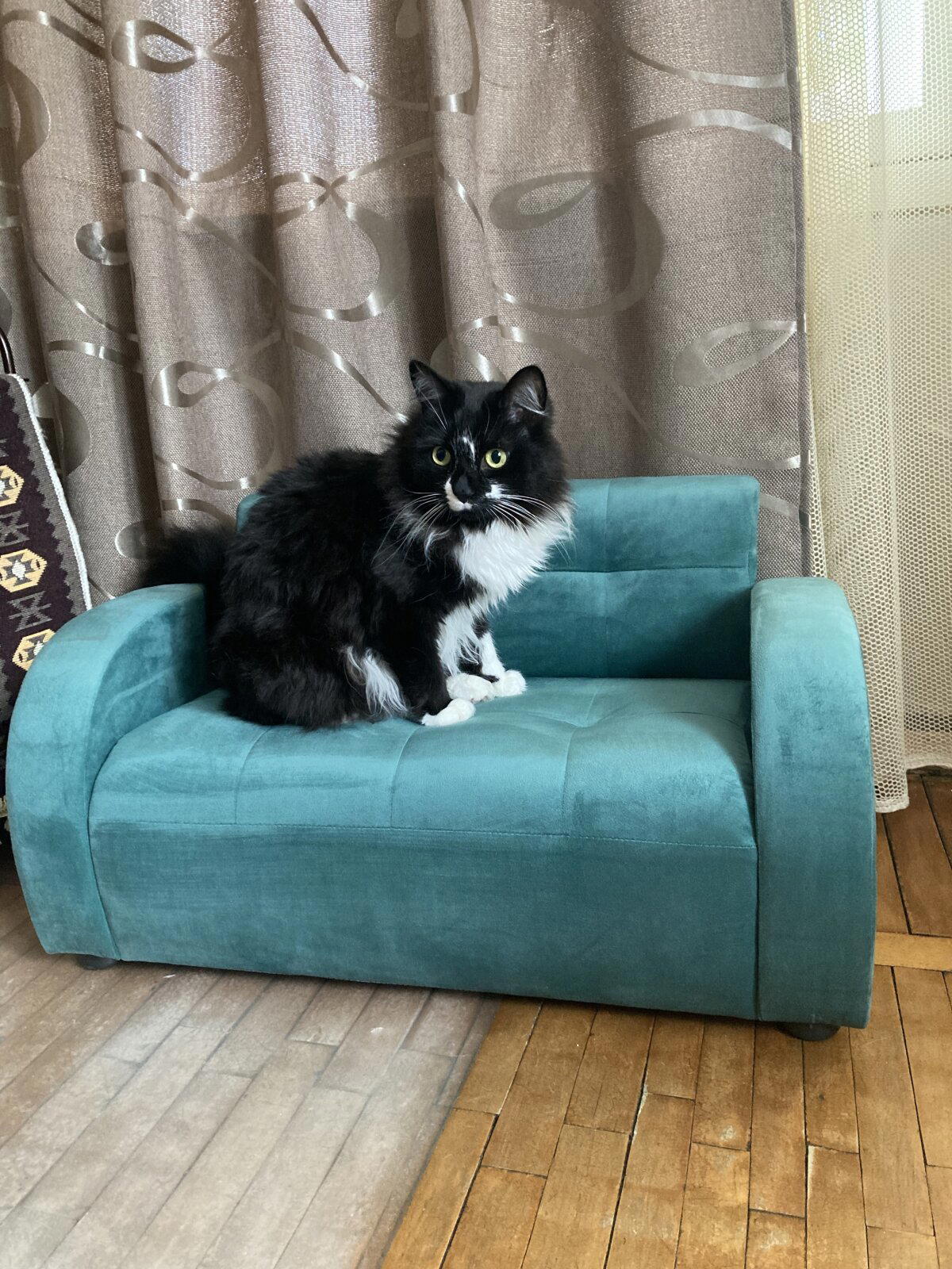 У котинек новая мебелишка