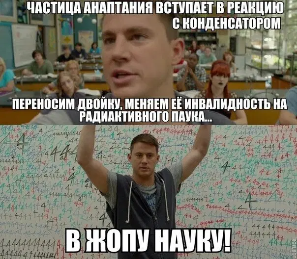 Кактусы пьют воду колючками ?!