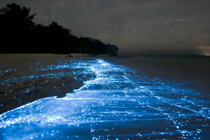 © pinterest.com