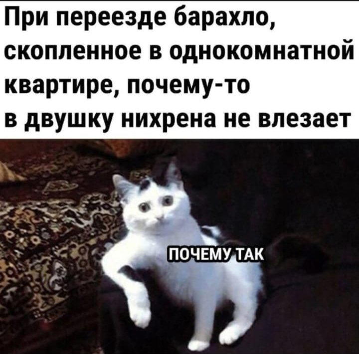 Действительно