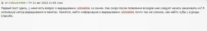 Корни кактусов