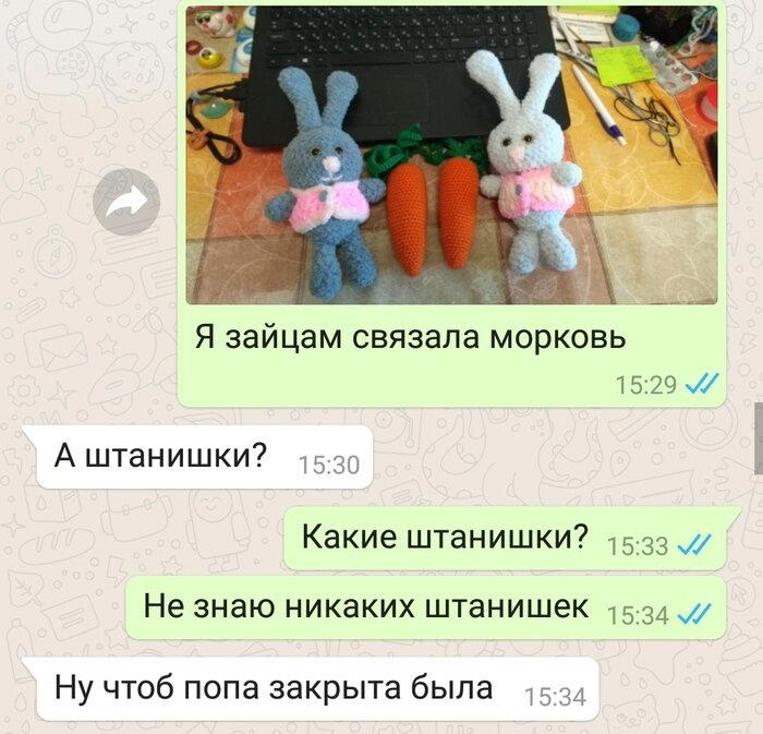 Зайки