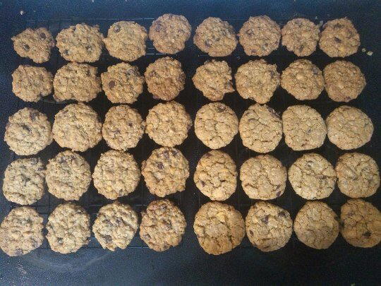 Halfling Oatmeal Sweet Nibbles