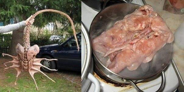 Хозяюшке на заметку