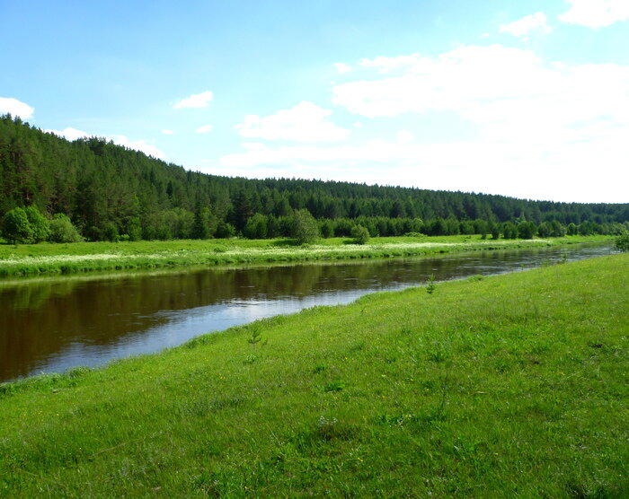 Немного лета в ленту