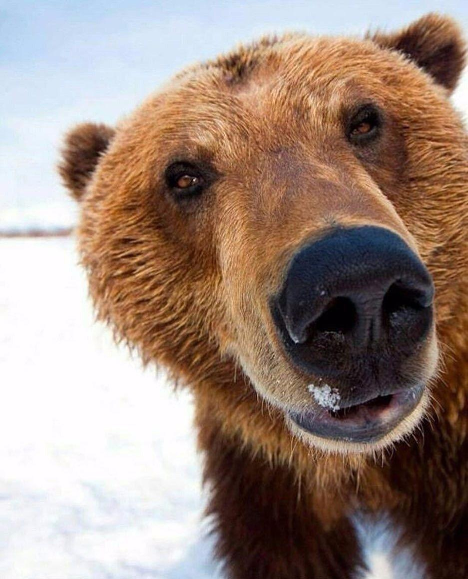 Еда есть? Любая.