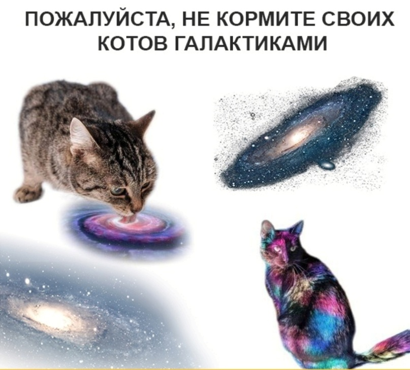 Зочем я ел голактеки...