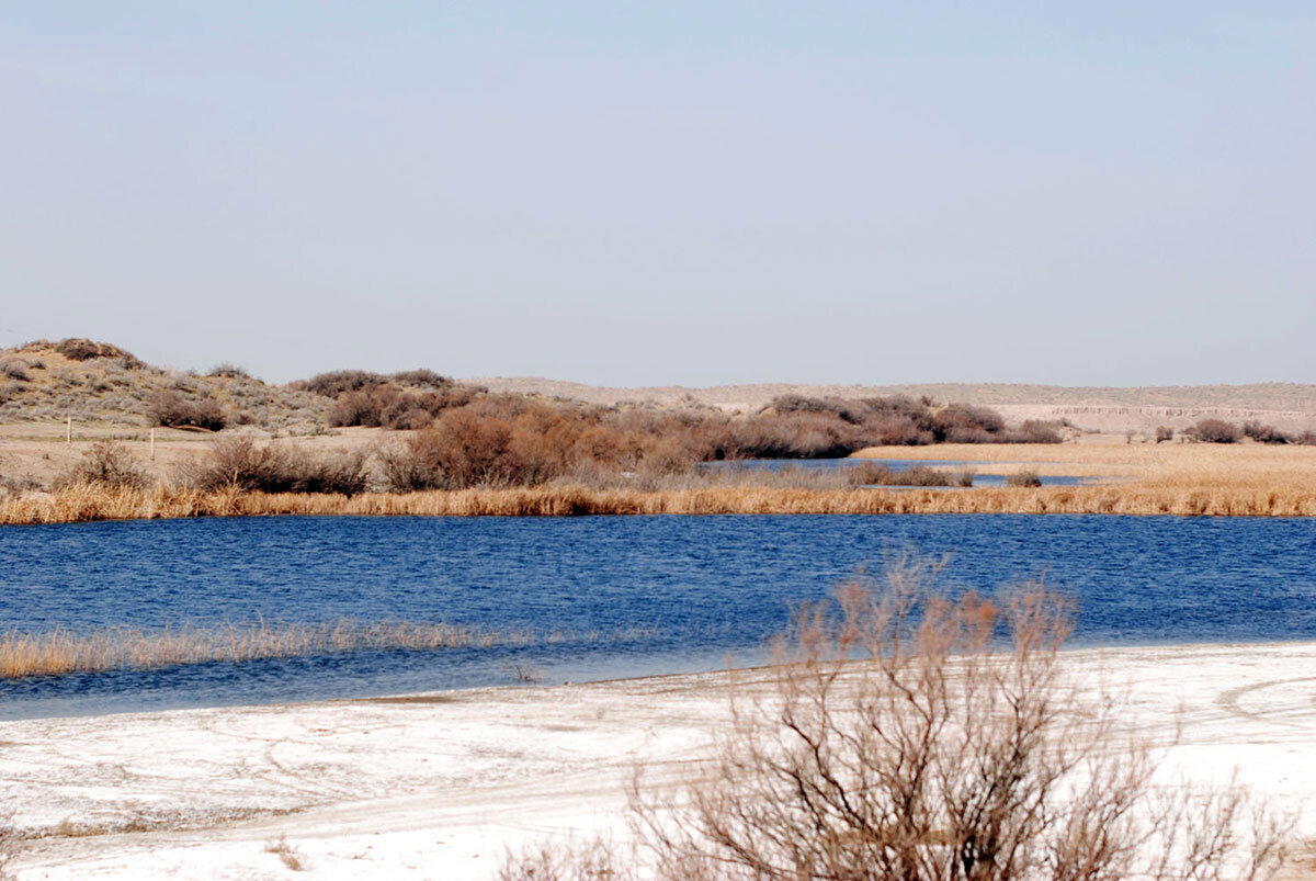 Пустыня Каракумы (Туркменистан)
