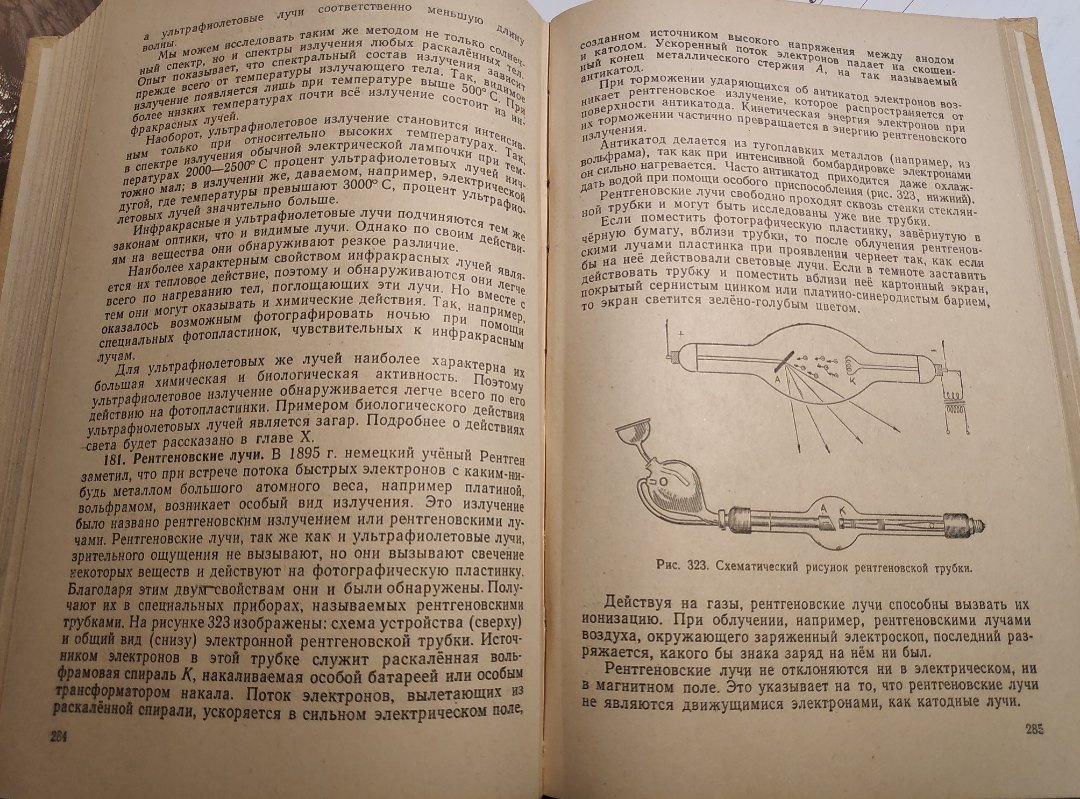 Маша и книги