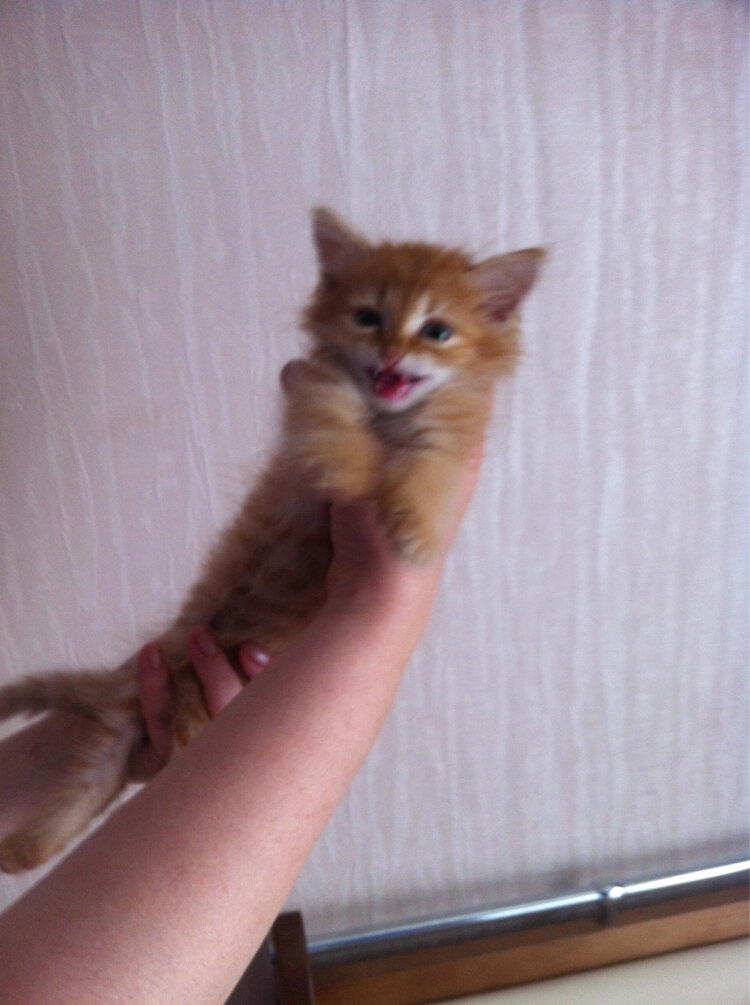Было-стало. Присоединяюсь!