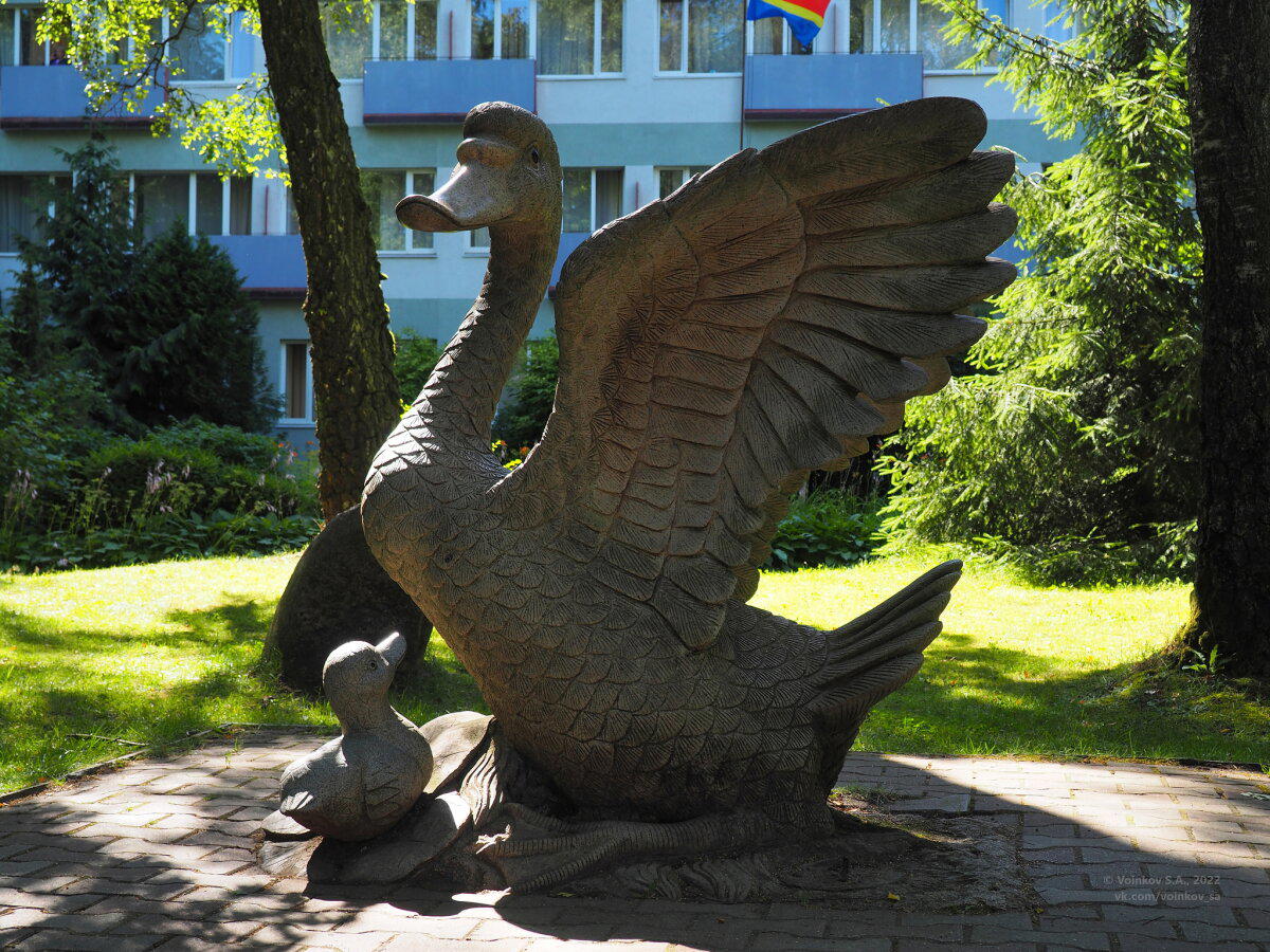 Светлогорск