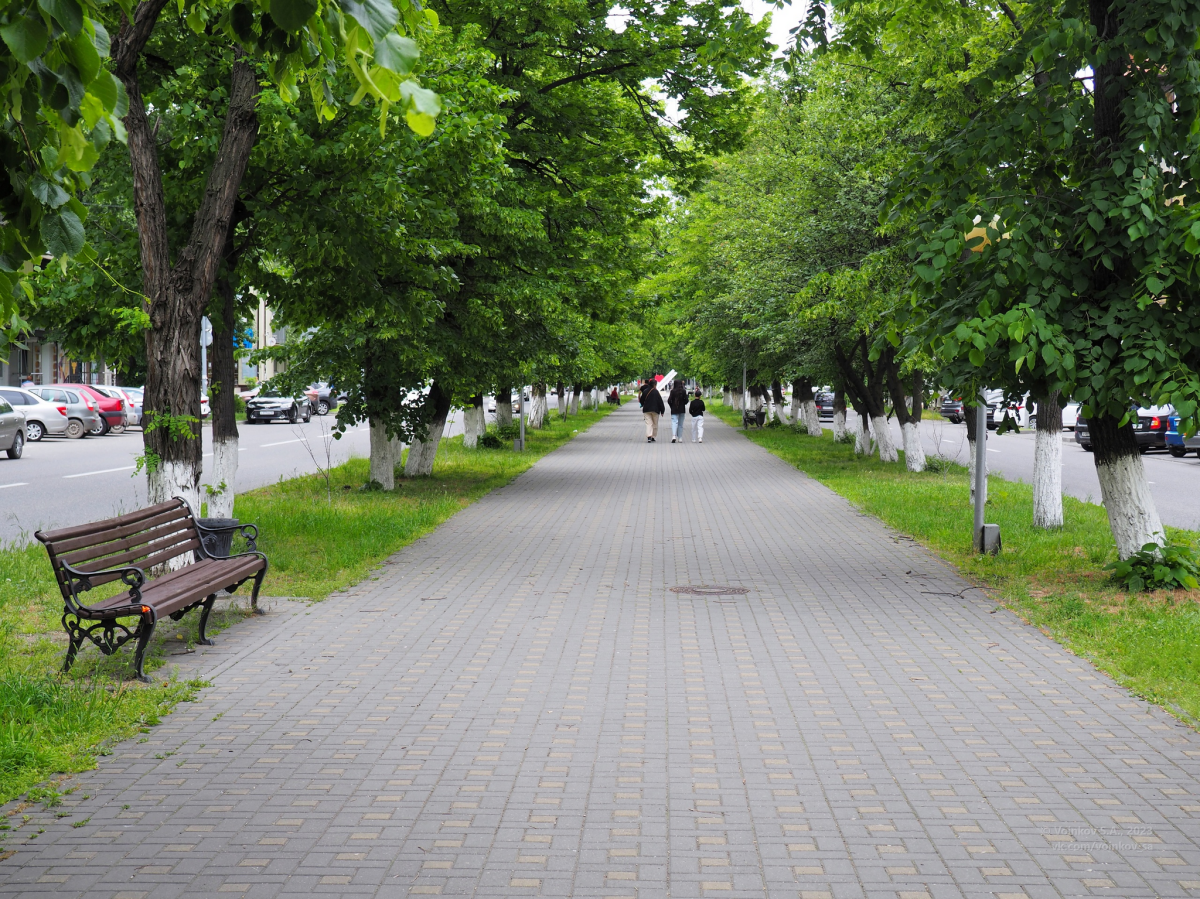 Минеральные воды. Часть 1