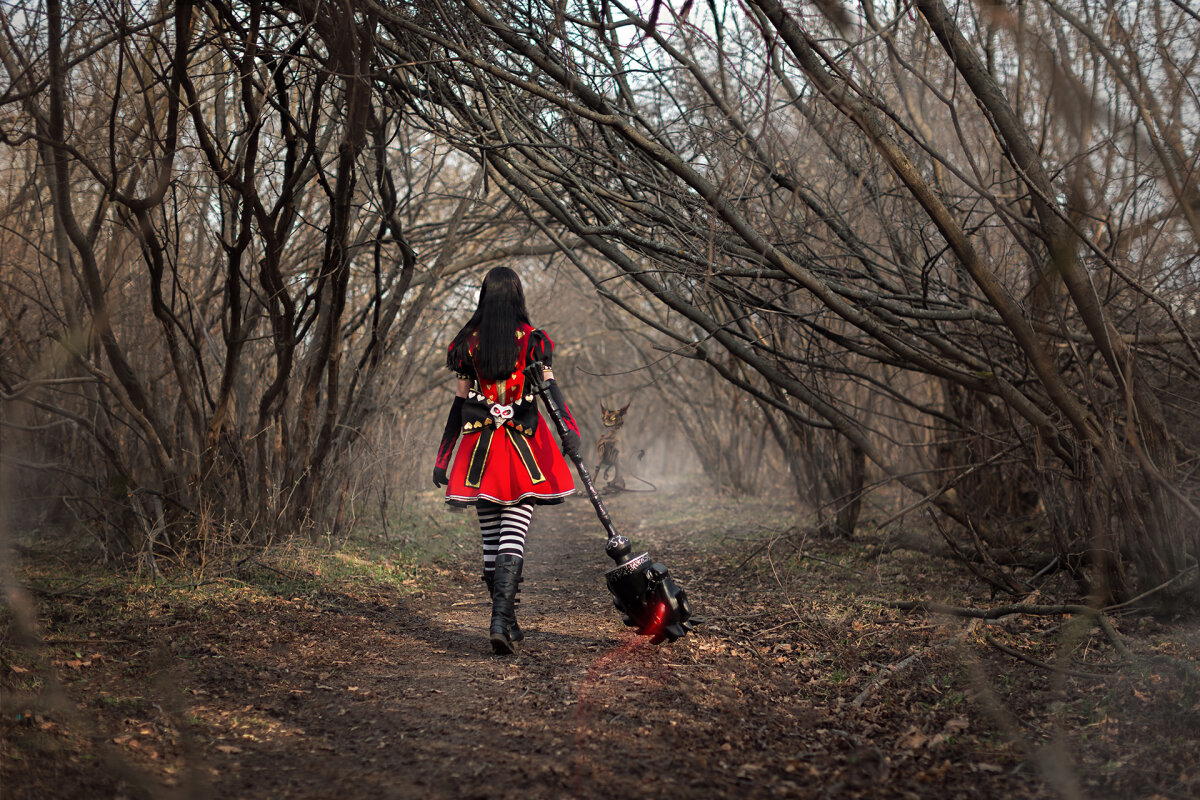 Alice: Madness Returns Cosplay Art