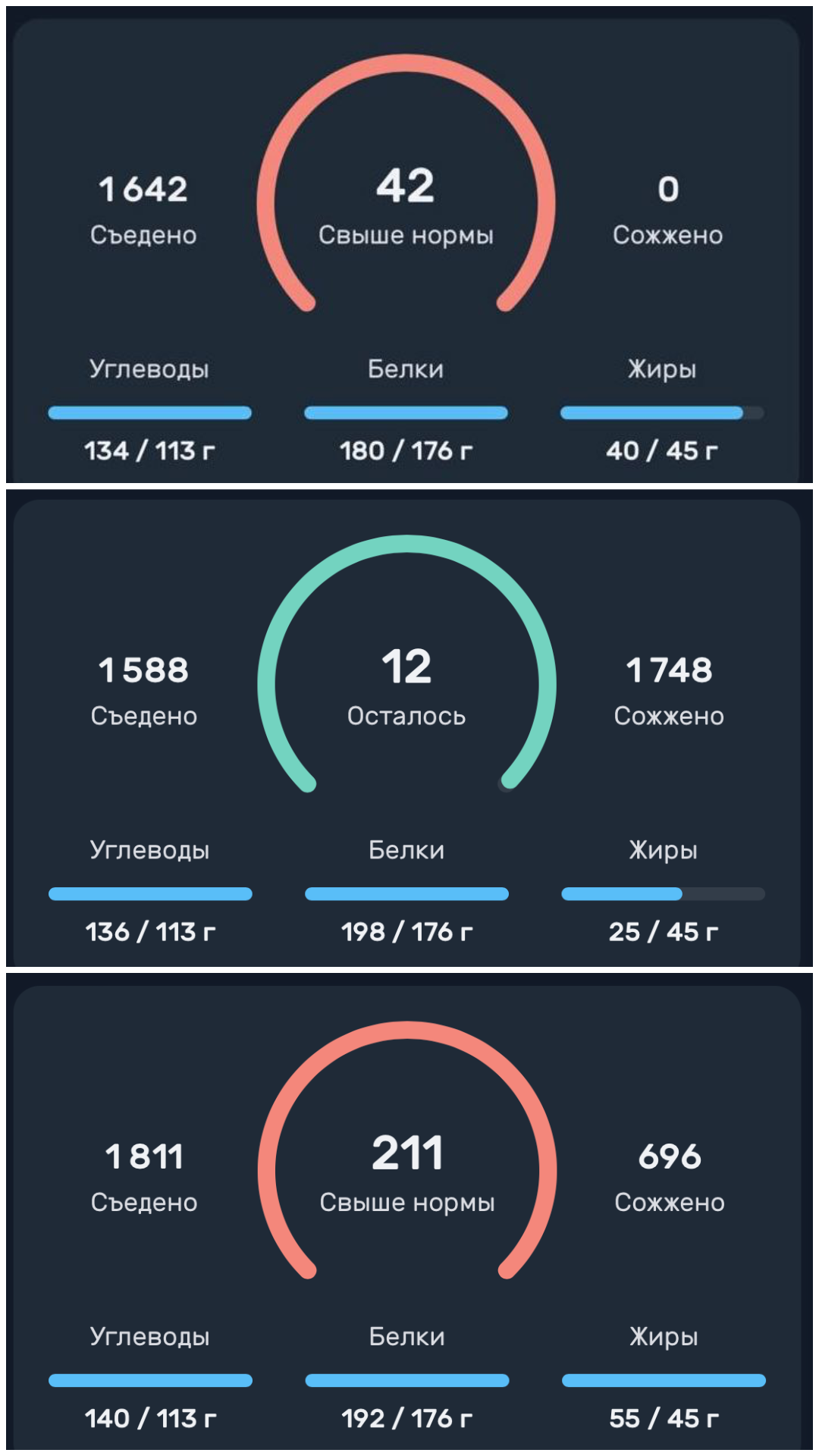 А вот и белки подъехали