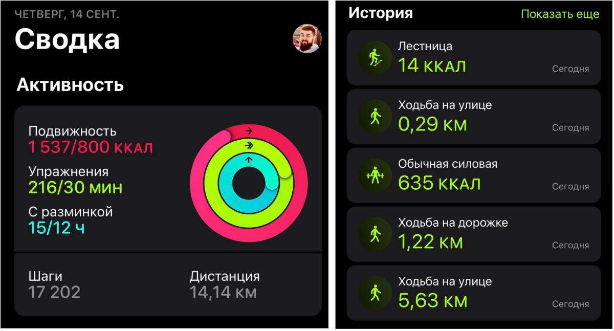 Среднестатистический день