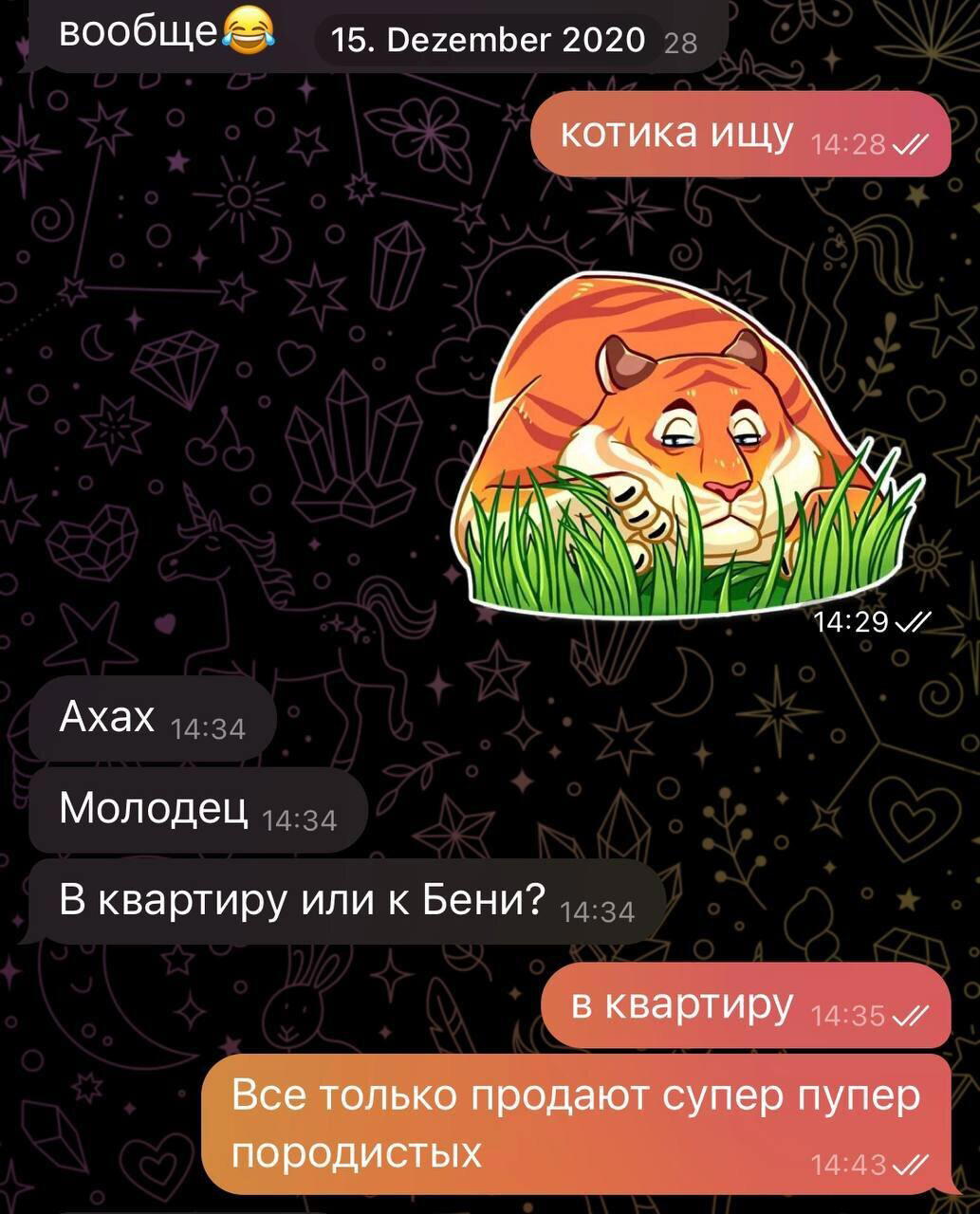 Записки эмигранта | Часть 5