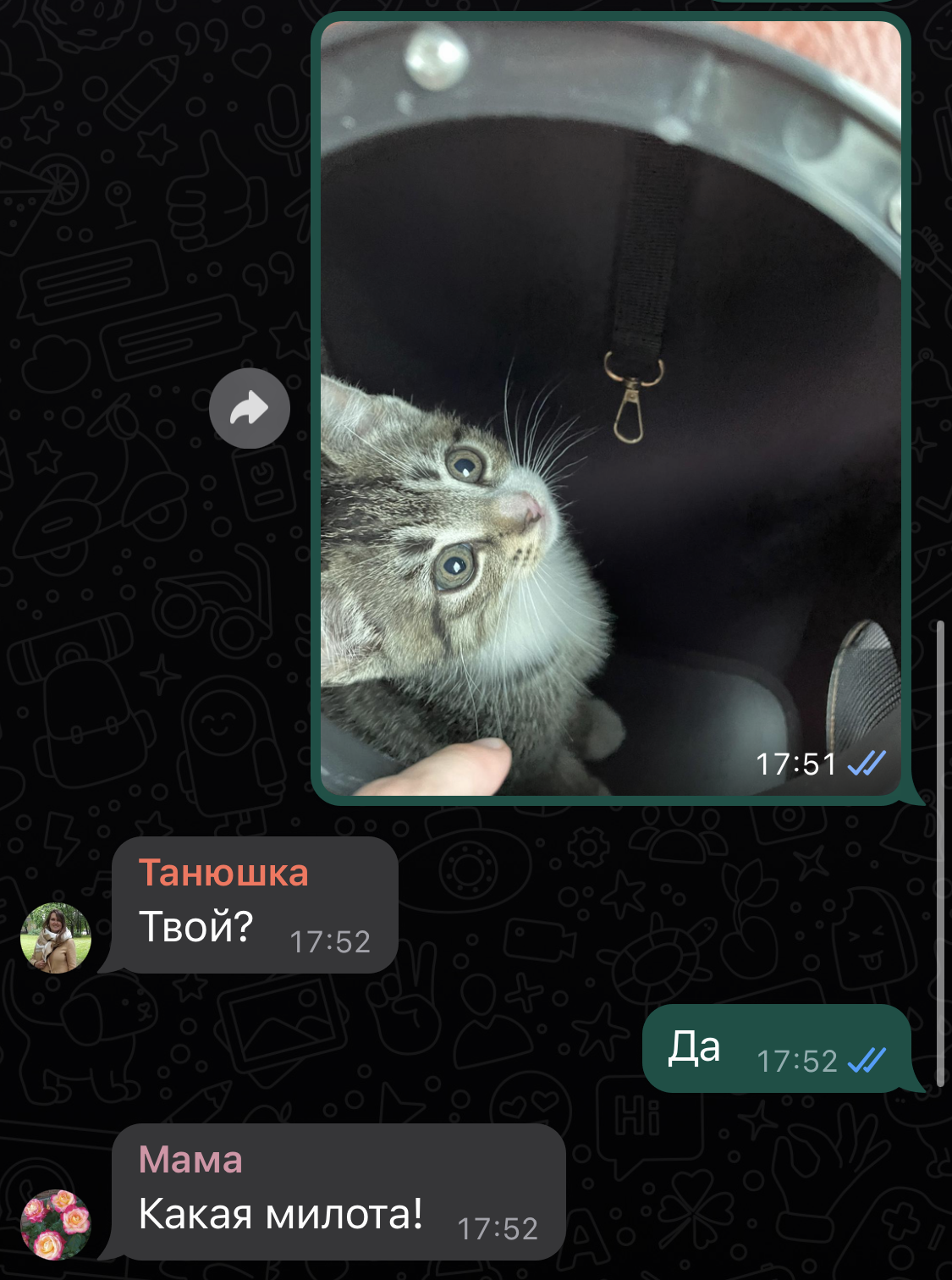 Записки эмигранта | Часть 5