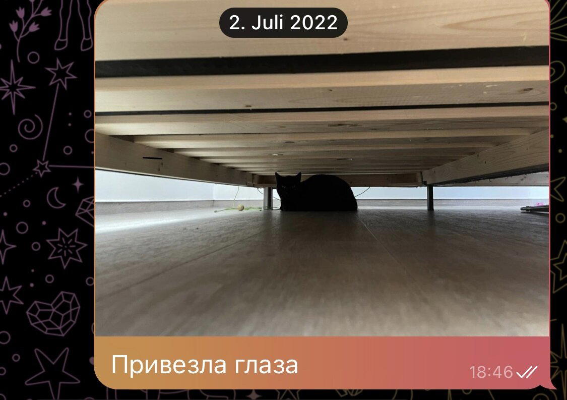 Записки эмигранта | Часть 5