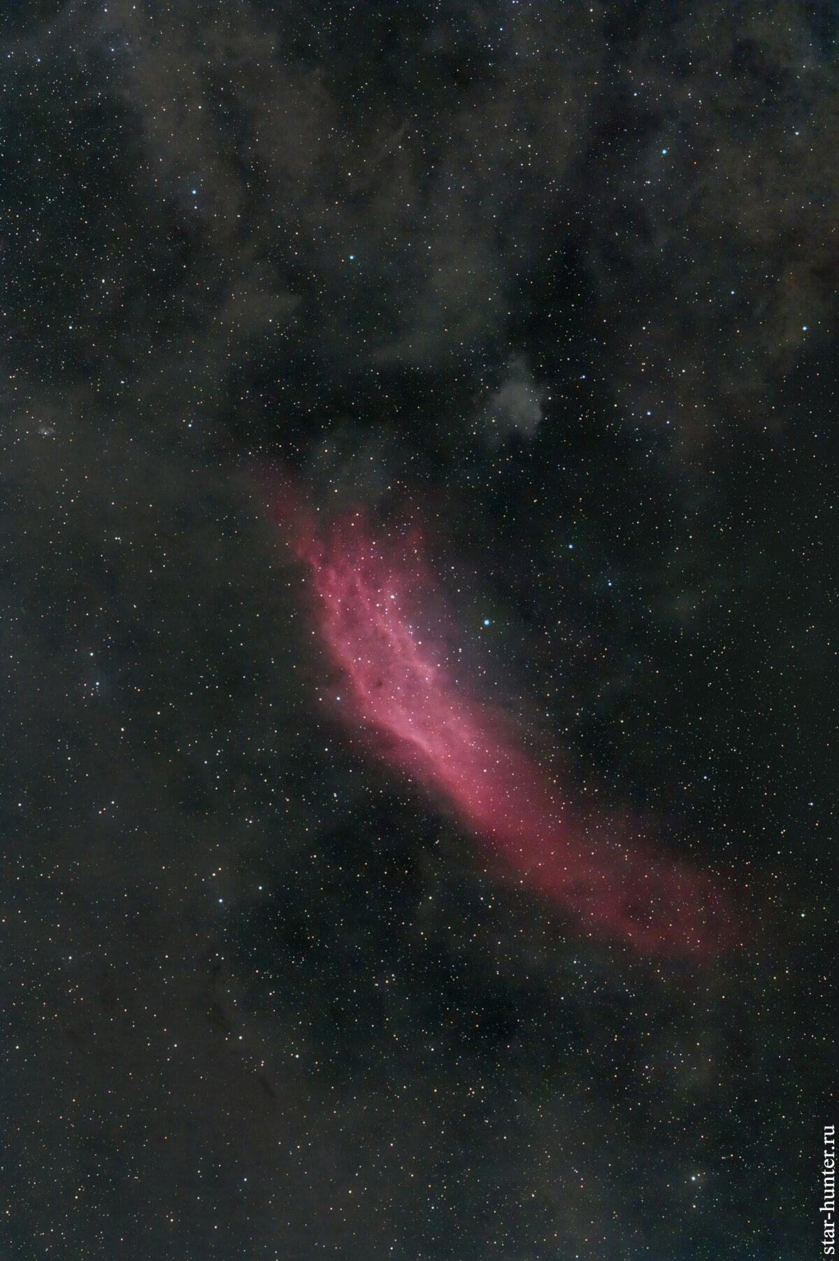 Туманность NGC 1499 Калифорния, 4 января 2024 года