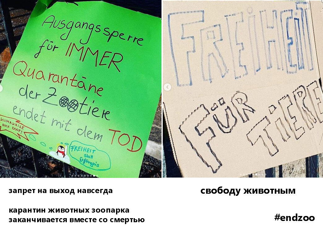 Этическая проблема зоопарков
