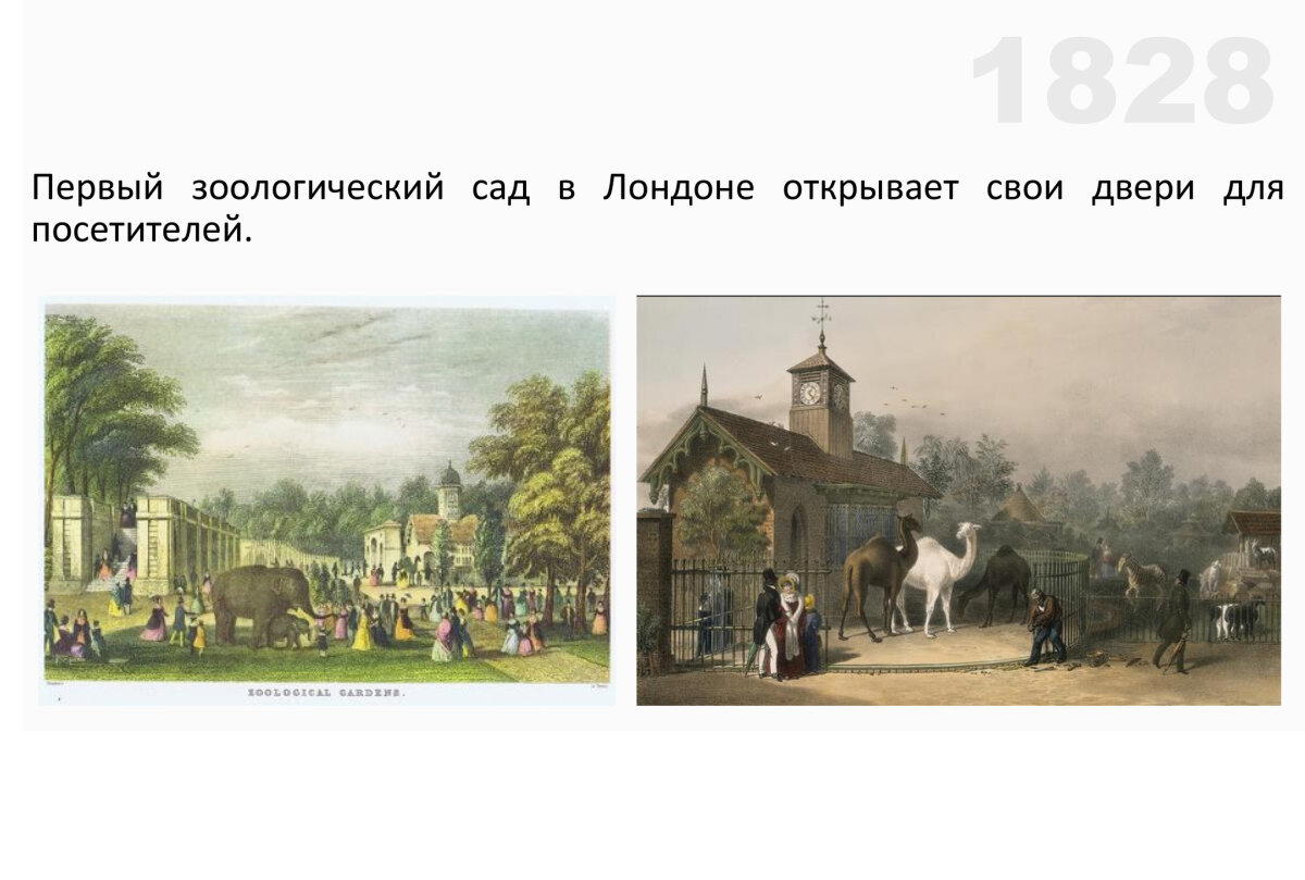[Зоо]архитектурный анализ Ленинградского зоопарка. Часть 2. Историческая основа