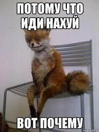 &quot;Когда-то и меня вела дорога приключений...А потом...&quot; ну вы знаете
