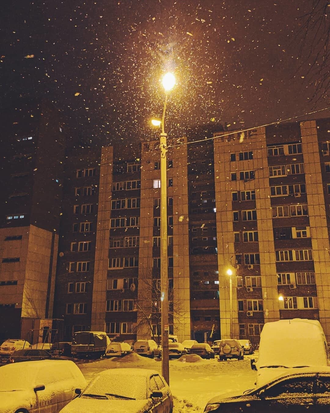 Хокку дня #26