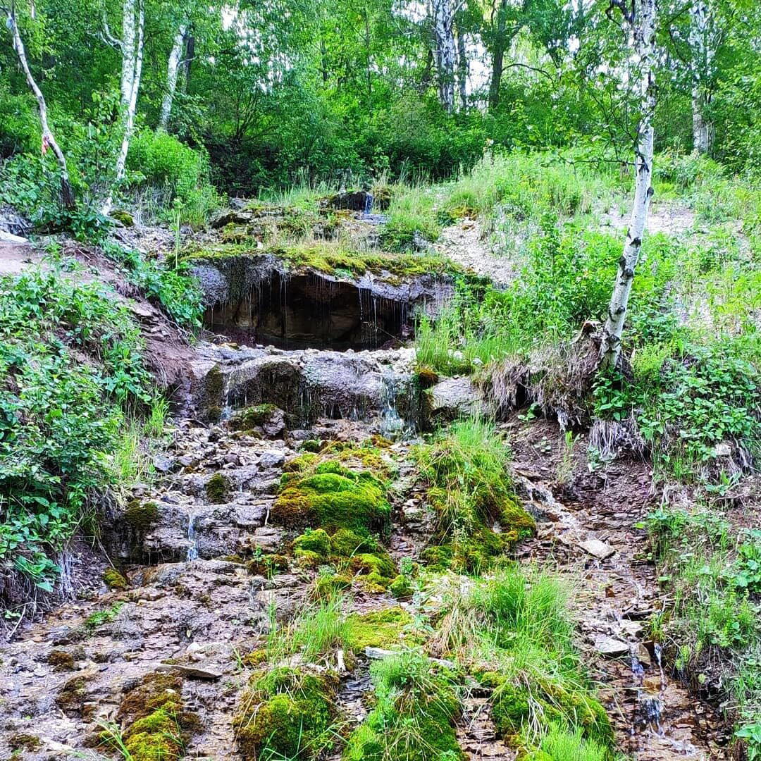 Хокку дня #14