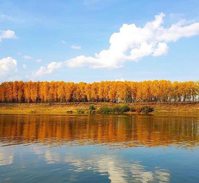 Хокку дня #12